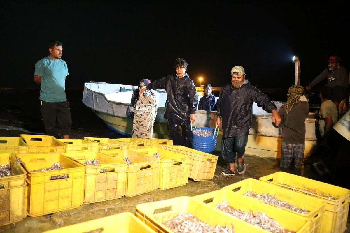 نقش کلیدی بنیاد برکت در اشتغالزایی 21 هزار نفری هرمزگان