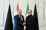 ایران و تاجیکستان می‌توانند روابط سیاسی و امنیتی را گسترش دهند