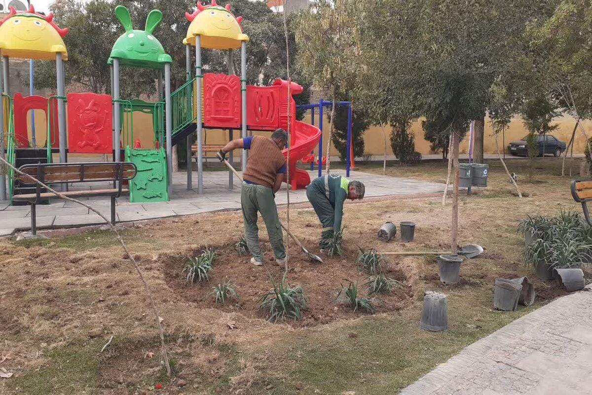 ساماندهی بوستان