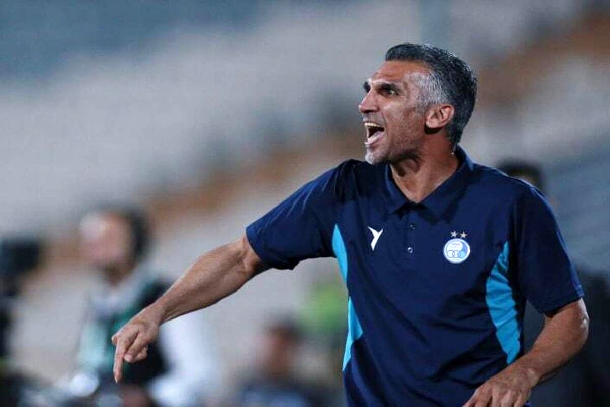 مهدی هاشمی نسب