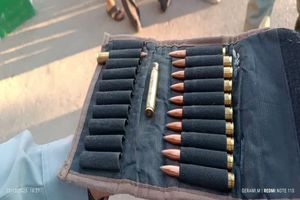 درگیری مسلحانه شکارچیان متخلف با محیط‌بانان در پارک ملی بمو؛ ۳ شکارچی دستگیر شدند