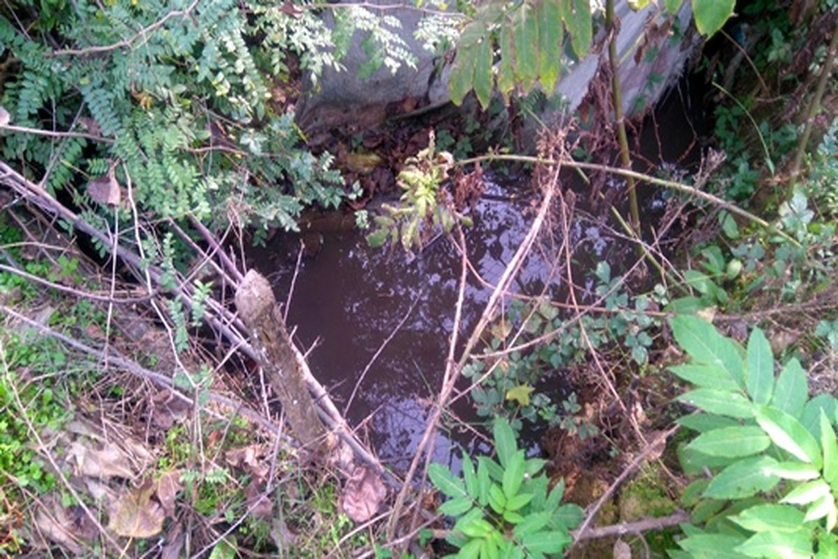 جریمه واحد صنعتی در فومن