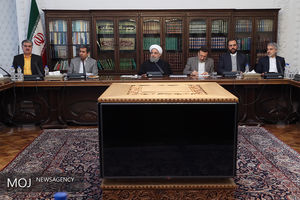 دیدار روسای کمیسیون های تخصصی مجلس با رییس جمهوری