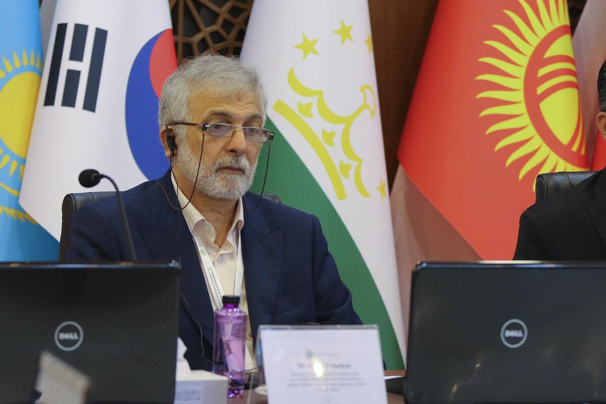 وحید فولادگر