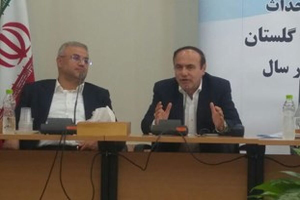 مدیرعامل شرکت سرمایه گذاری غدیر
