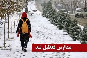 مدارس برخی شهرها در اردبیل غیرحضوری شد