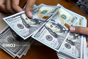 جدیدترین قیمت ارزها در بازار آزاد امروز ۱۷ آبان ۱۴۰۴