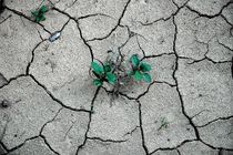 ترسیب کربن 13 ساله شد/ سرانه بیابان در کشور دو برابر میانگین جهانی