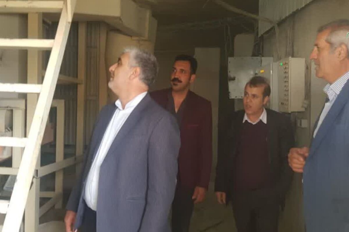 بازدید