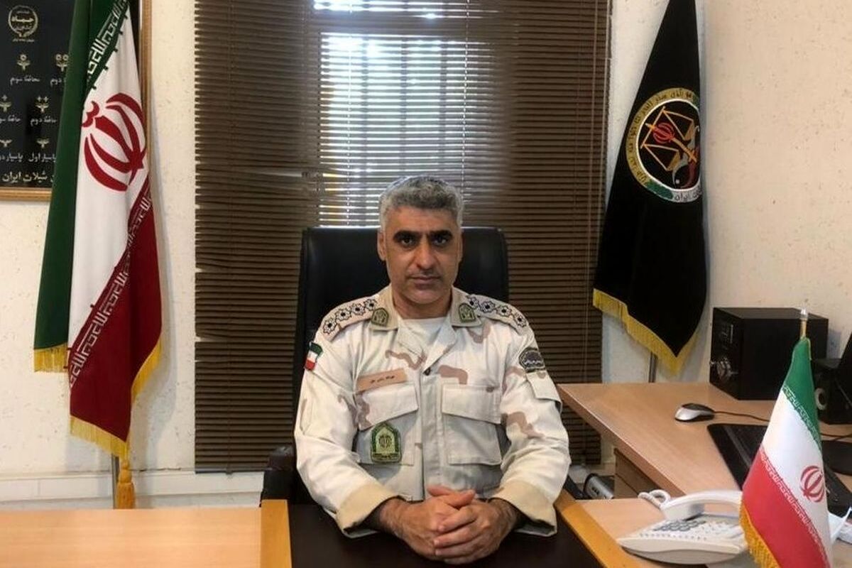 شیلات