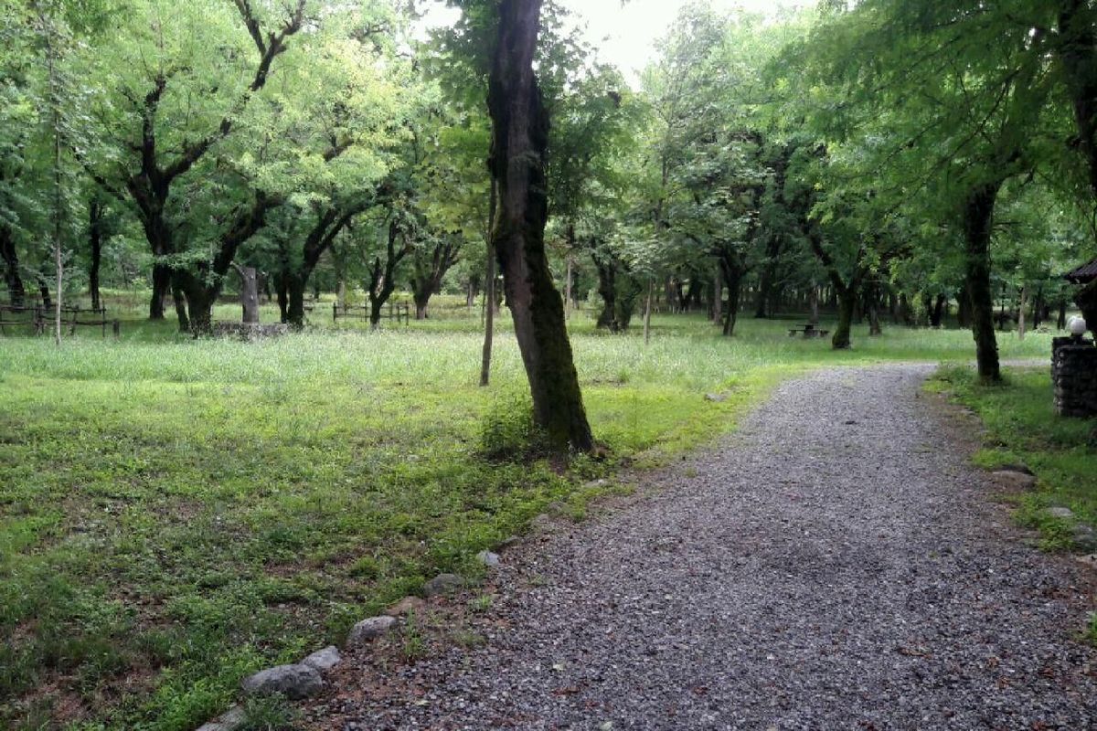 بوستان جنگلی سرخه حصار