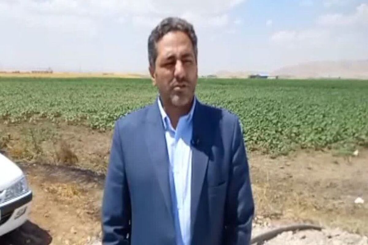 بخشدار کرمانشاه