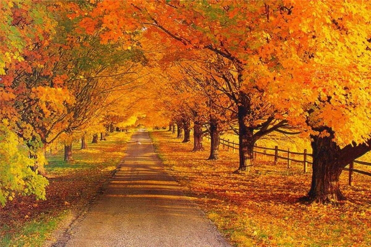 هواشناسی گیلان