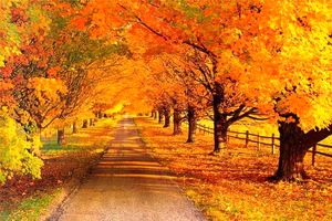 موج جدید بارش‌های پاییزی از فردا در مازندران