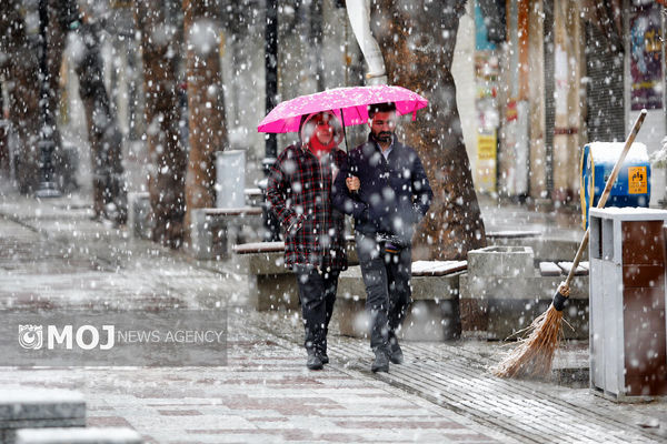  زاگرس و البرز مرکزی از فردا سفیدپوش می‌شوند