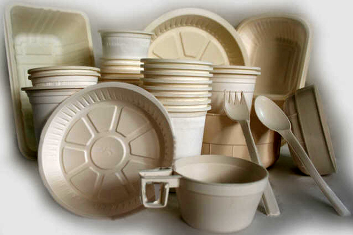 ظروف یکبار مصرف