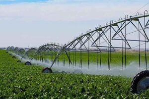 اعتبارات سامانه‌های نوین آبیاری در بودجه ۱۴۰۴ افزایش ۳ برابری داشته است