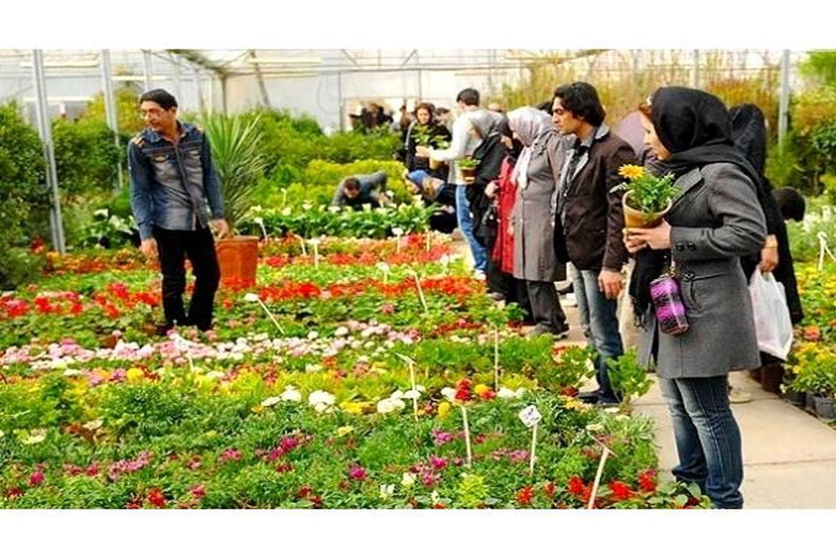 گلخانه مازندران