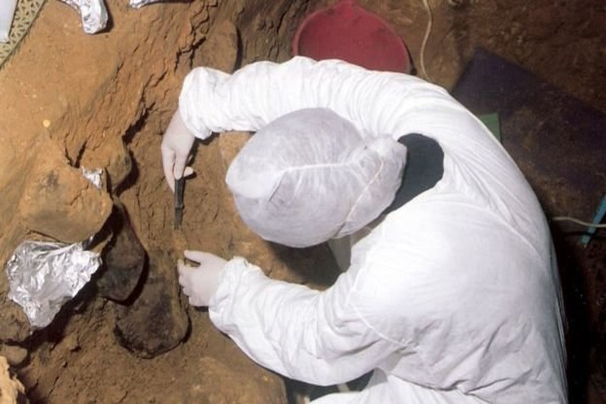 باستان شناسی