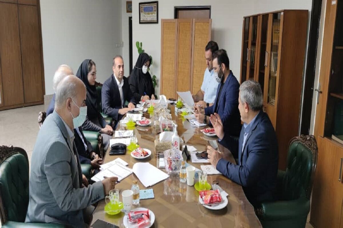  انتخابات کمیته ملی المپیک