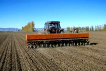 افزایش قابل توجه سطح زیرکشت پاییزه در بیله‌سوار به ۹۵ هزار هکتار