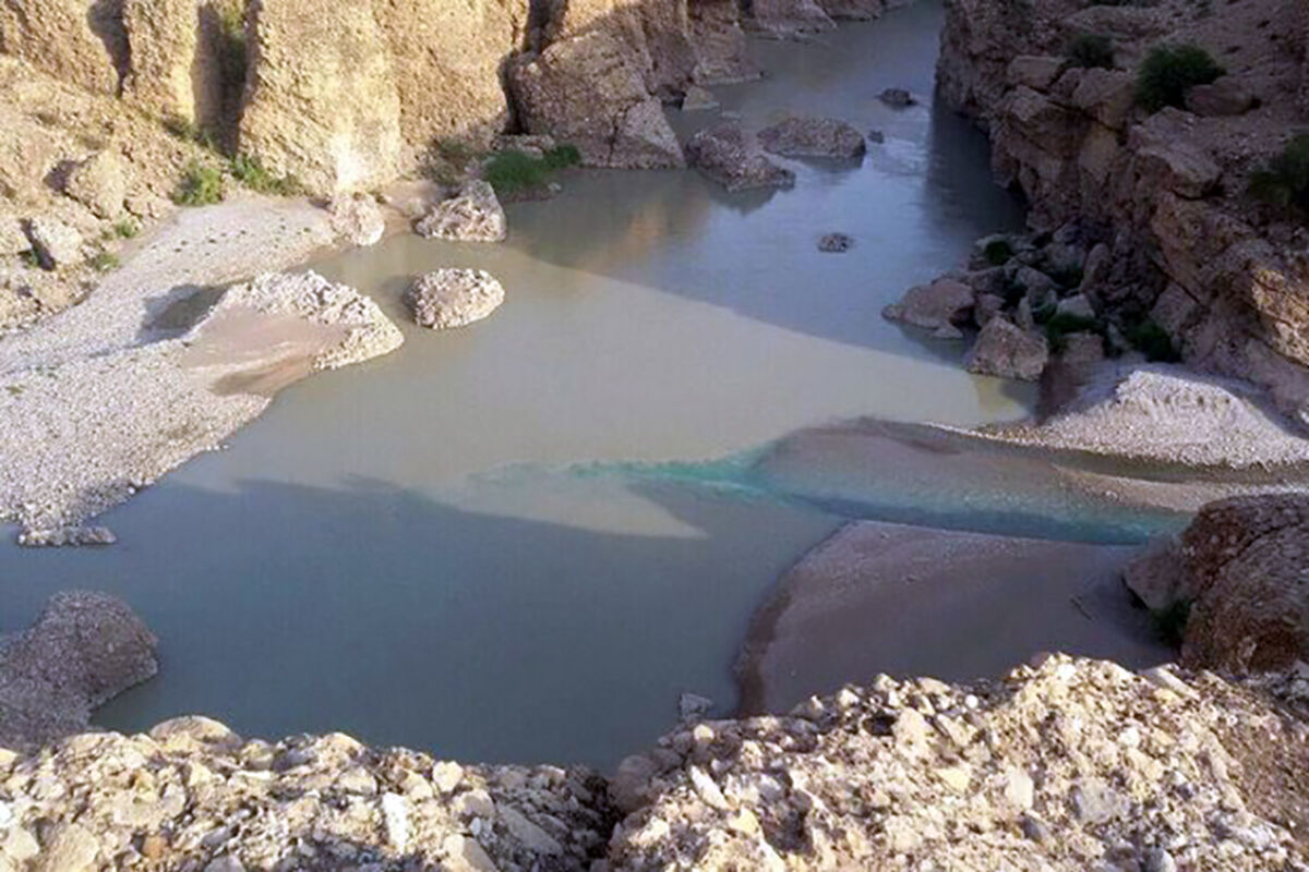 امین مرادی نژادجسد