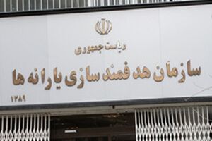 298 میلیارد تومان از درآمد ارز ترجیحی به مردم داده می شود
