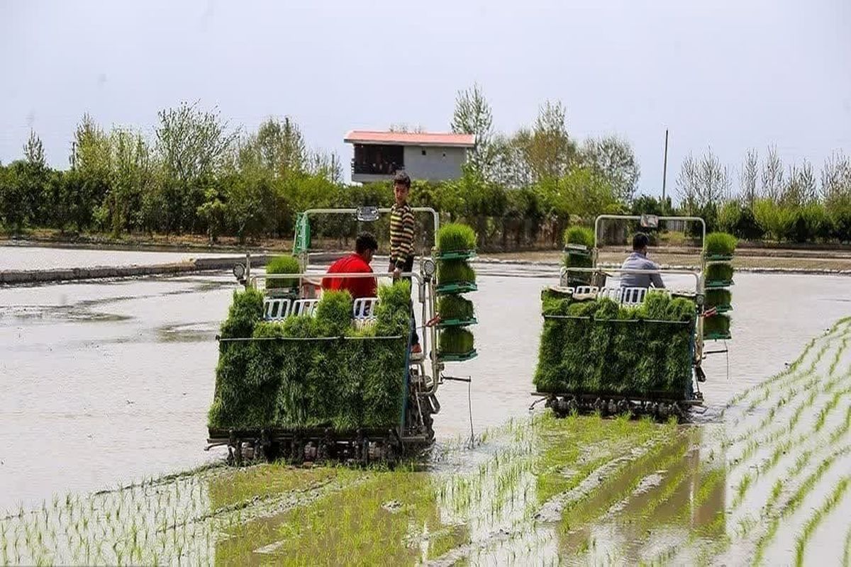 پایان نشا در بابل 