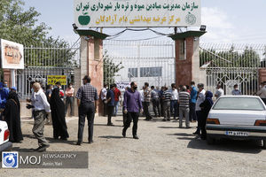 عرضه بهداشتی دام در روز عید قربان