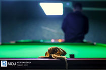 نمایندگان ایران به مرحله حذفی رقابت‌های جهانی اسنوکر