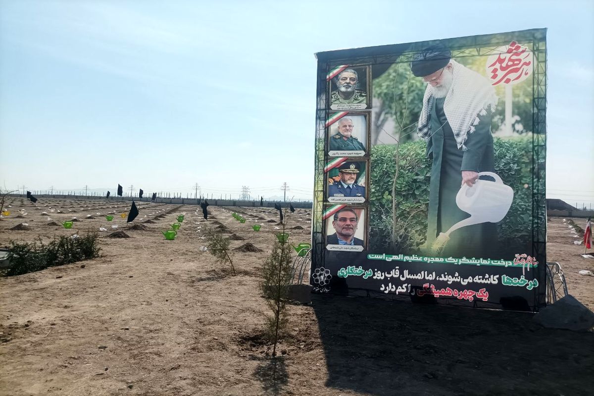پویش سرو ایران+ درختکاری