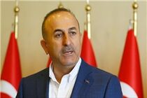  اظهارات فرانسه درباره عملیات عفرین توهین آمیز است