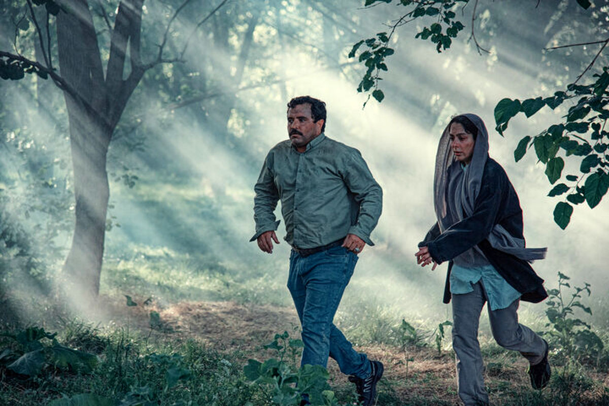 در آغوش درخت