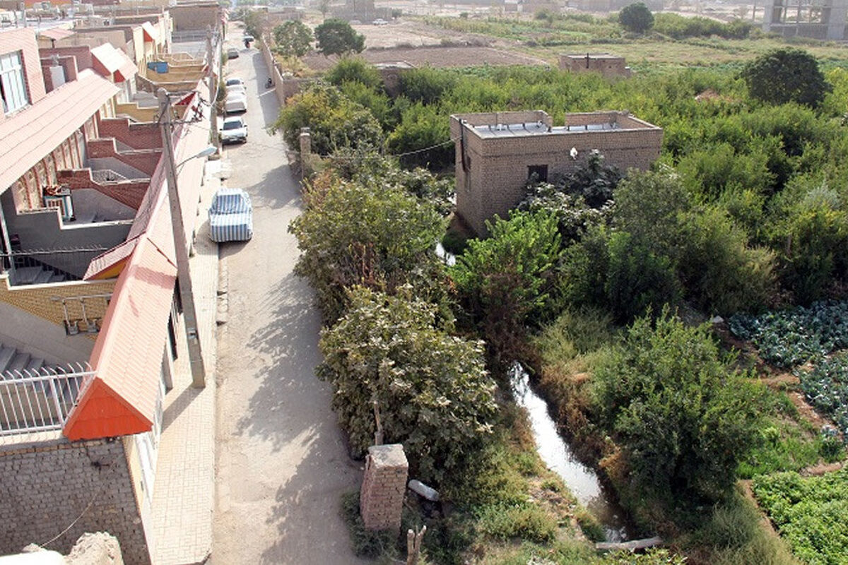 شهرداری قم