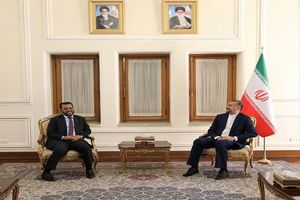 امیرعبداللهیان با وزیر موریتانی دیدار کرد