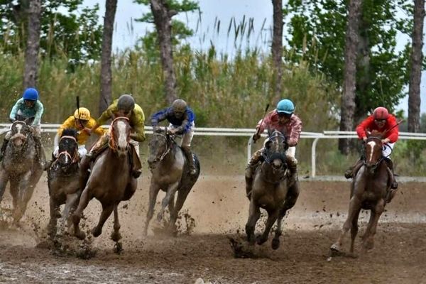 ماراتُن هفته هفتم اسبدوانی گنبدکاووس پایان یافت