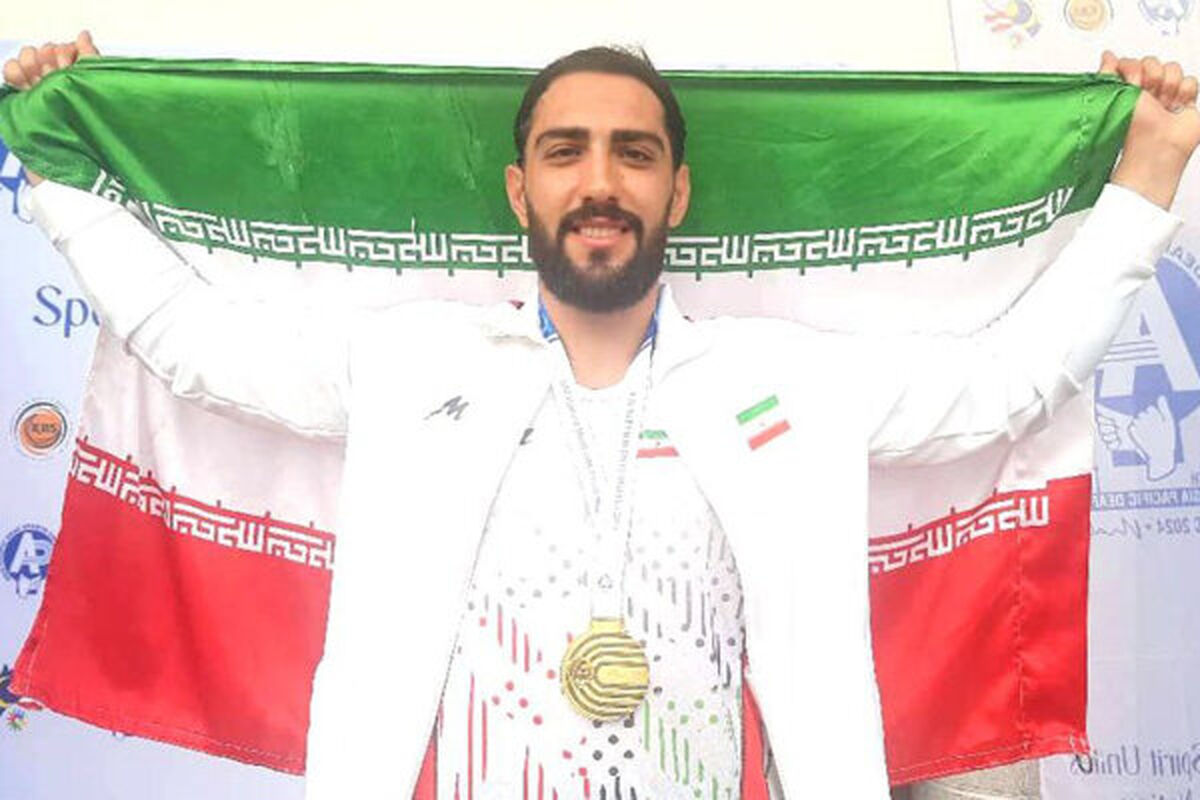 امیرحسین زارع