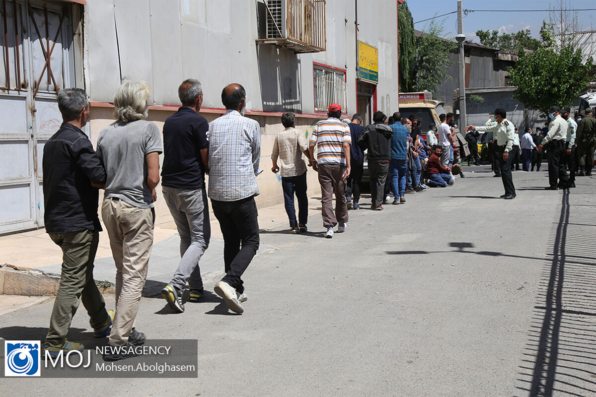 طرح جمع آوری معتادان متجاهر