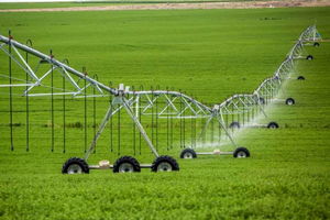 آبیاری 103 هزار هکتار از زمین های کشاورزی هرمزگان با سیستم نوین آبیاری 