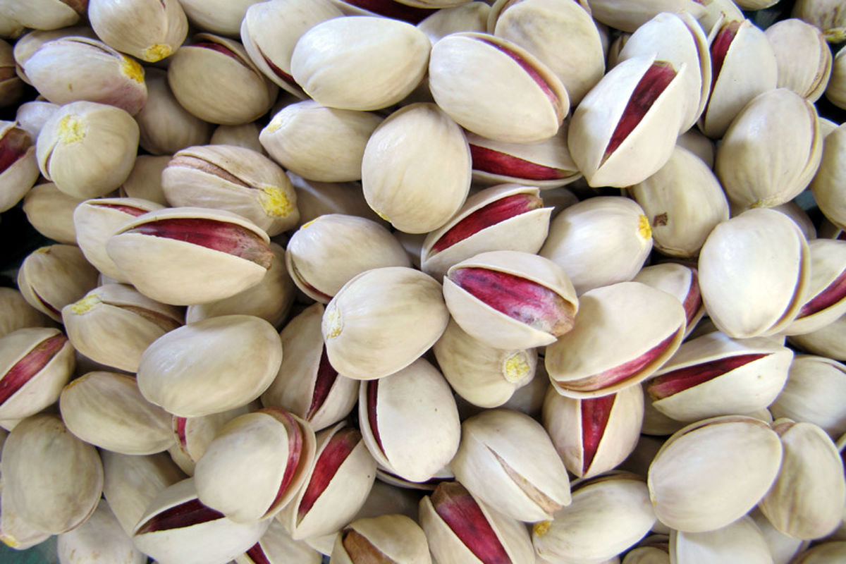 پسته در بورس