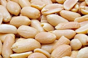 کشف 10تن مغز بادام زمینی قاچاق در شهرستان نائین