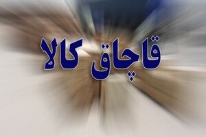 کشف ۱۹۰ میلیارد کالای قاچاق در فارس/دستگیری ۶۱ متهم