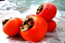 پیش بینی درآمد ۲۱۰ میلیاردی برداشت خرمالو در مازندران