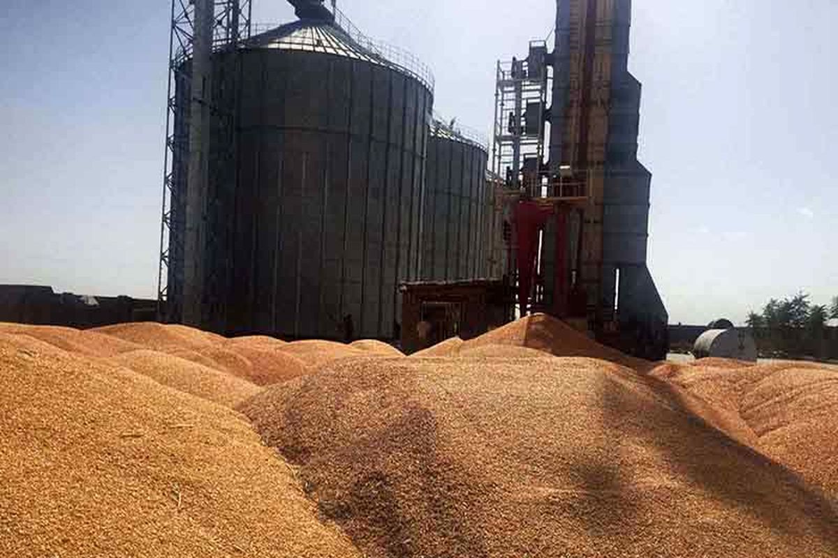 سیلوهای کرمانشاه