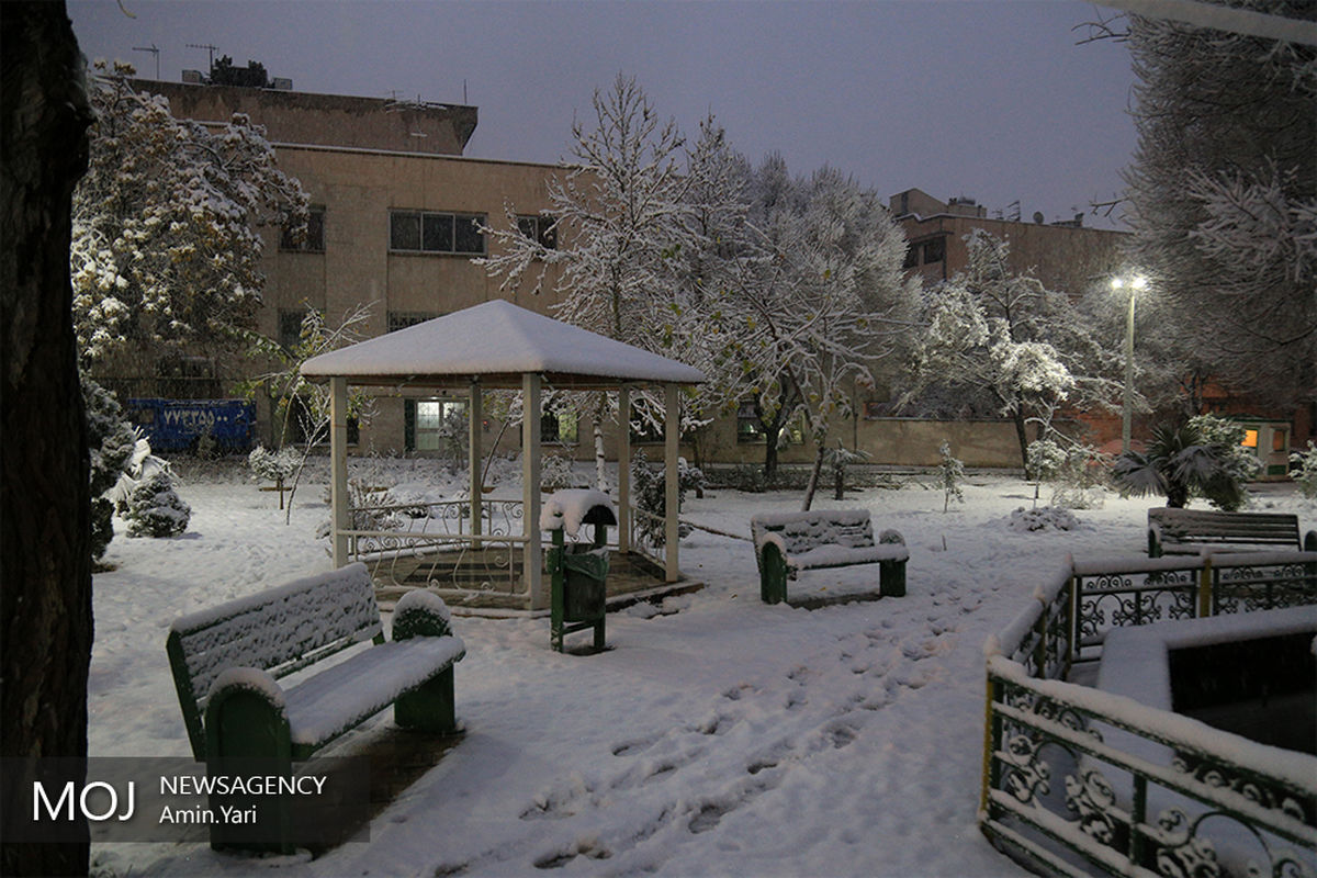 بارش برف تهران را سپیدپوش کرد