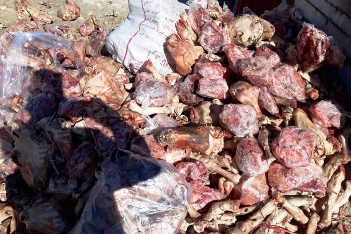 مواد غذایی فاسد