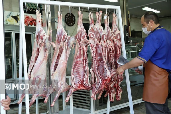 مردم باید گوشت را با قیمت واقعی و بدون واسطه دریافت کنند