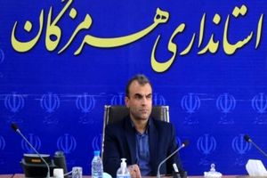 تمرکز هرمزگان بر تکمیل حلقه‌های زنجیره ارزش با تسهیلات هدفمند