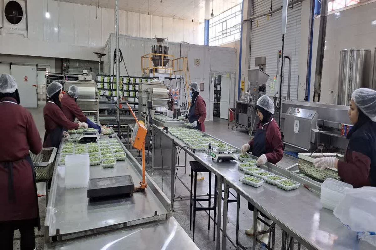 شهرک صنعتی فارس