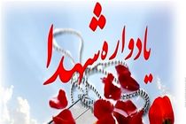 برگزاری یادواره شهدای منطقه امامزاده ابراهیم(ع) در قم